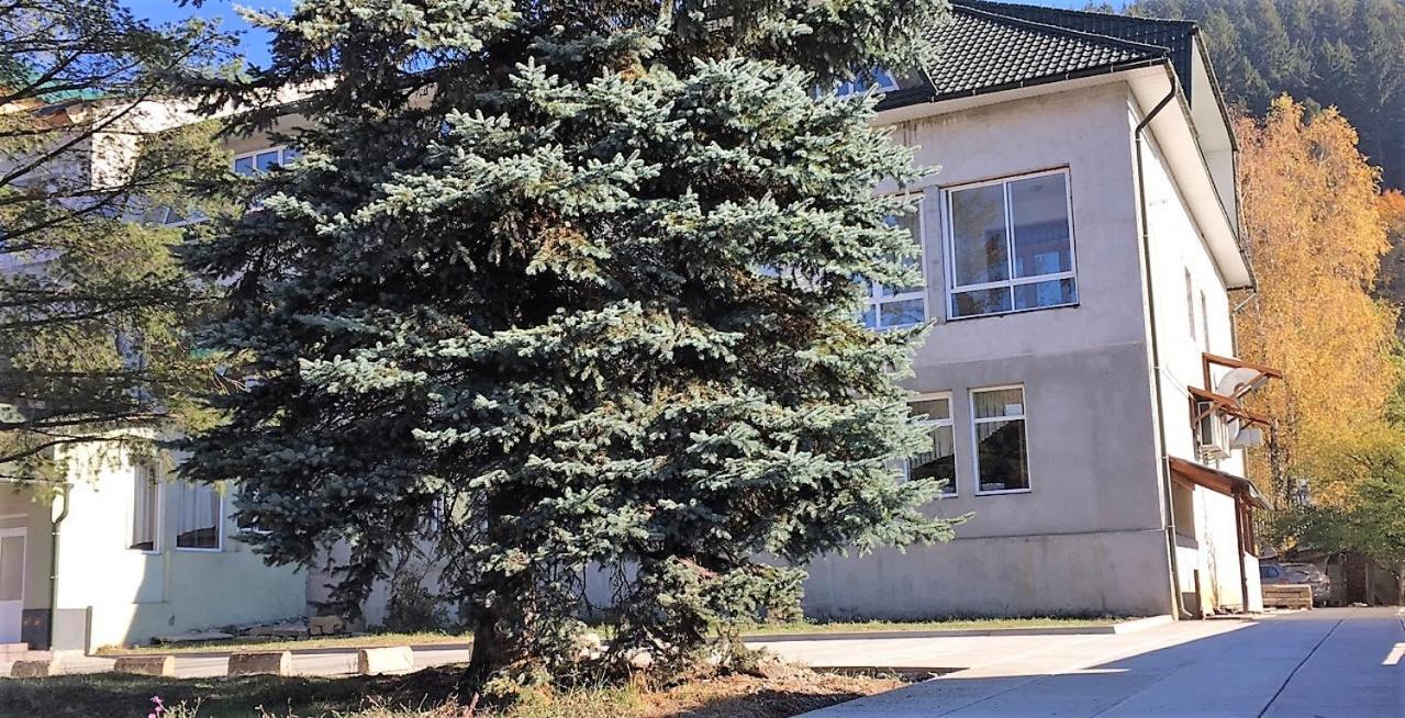 Apartaments In Karpaty Mizhhirya  Exteriör bild